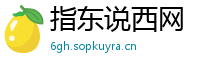 指东说西网